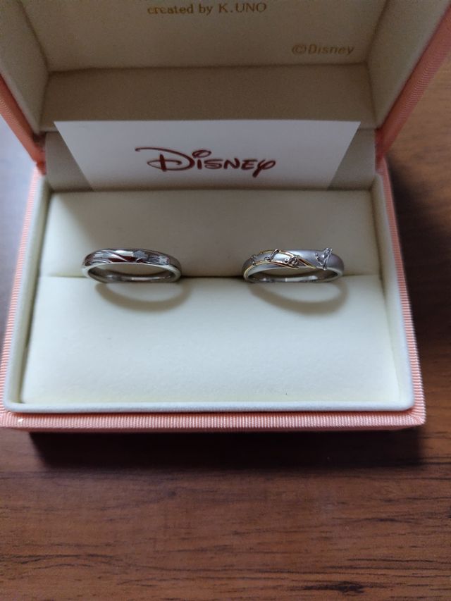 旦那が美女と野獣、私がグーフィー好きで作りました。

