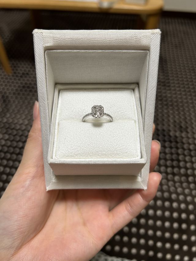 小さく見えるけど付けたらちょうどいい