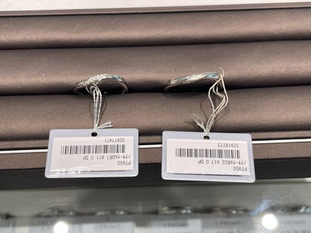 ノクターナルの写真です。