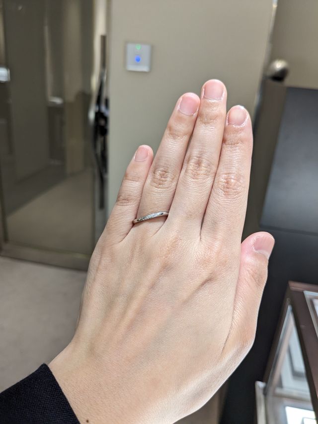 朝葉を着け、明るいところで撮影しました。