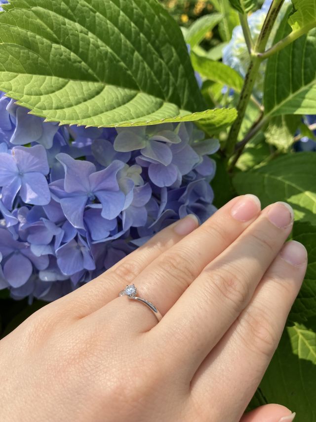 プロポーズをしてもらった公園で。紫陽花と一緒に。