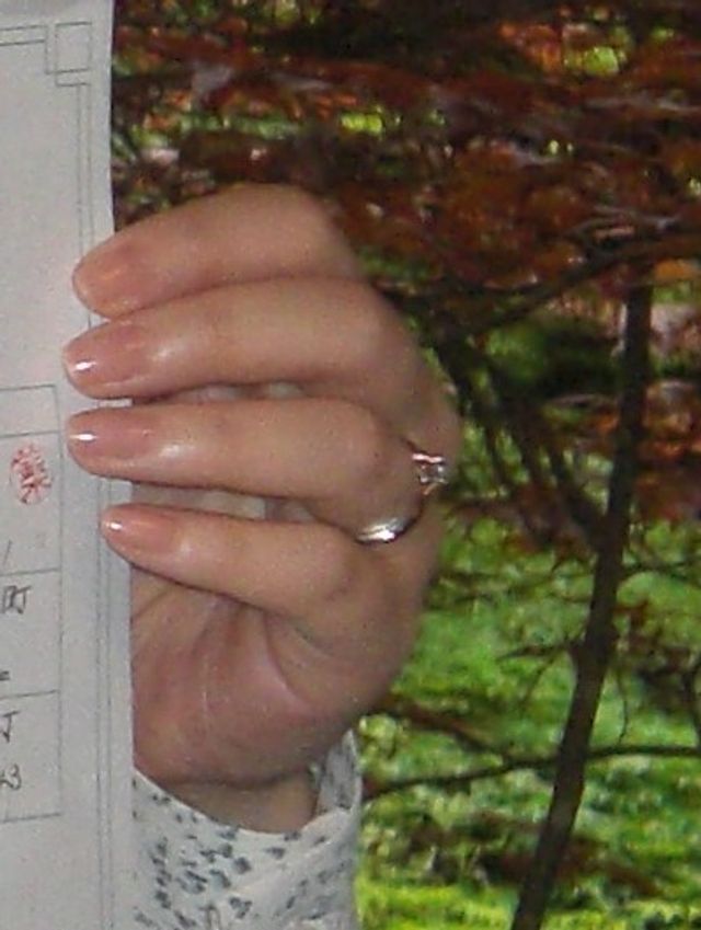 戸籍書き込み後。   今風とか