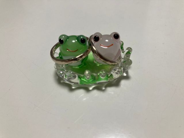 自宅の普段使いリングピロー