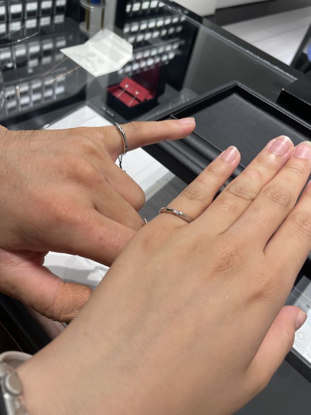 ペアでは無いですが、同じシリーズものを選びました