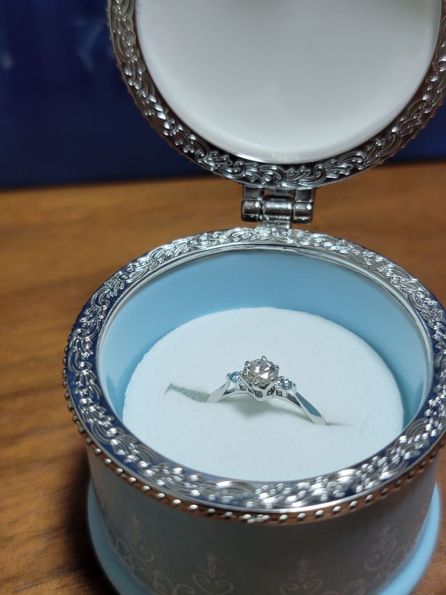 思い出のあるシンデレラのデザインの指輪を選びました。
