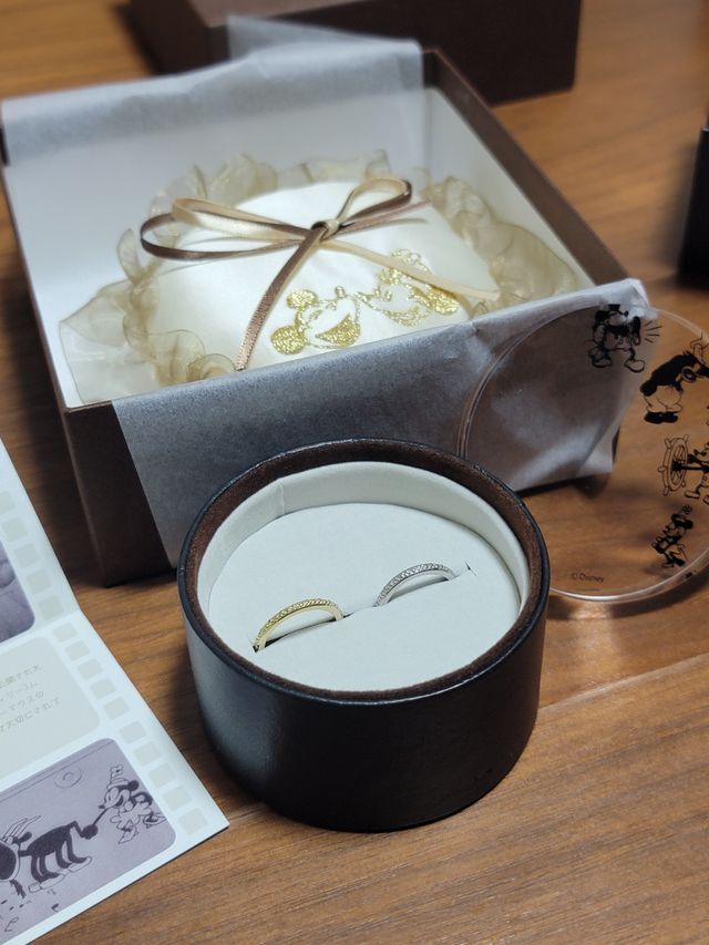 スチームボートウィリーのデザインを選びました。