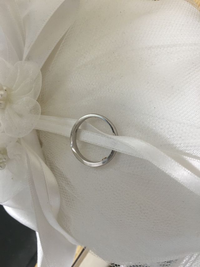 全体図（リングピロー上）