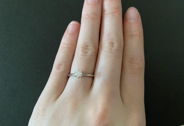 上から見た様子