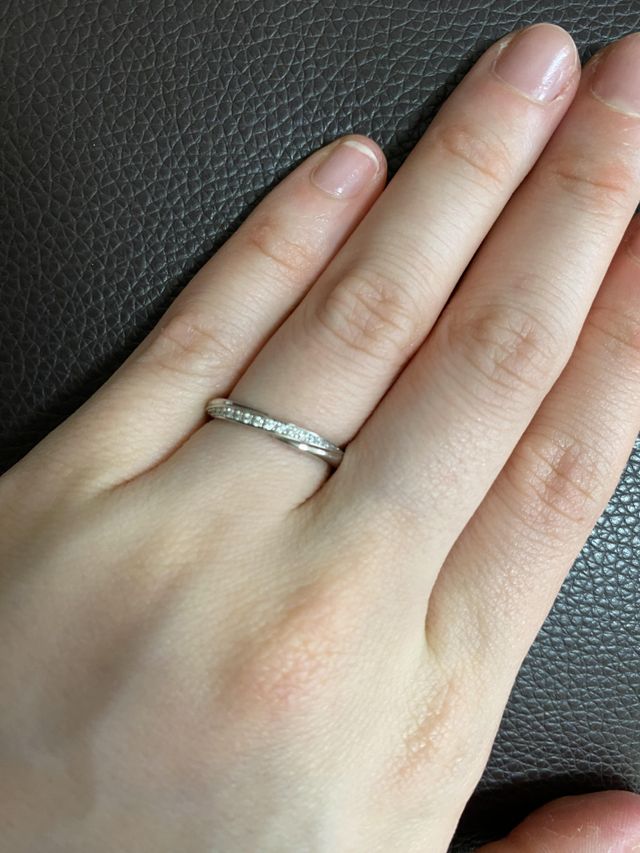 上から見た様子