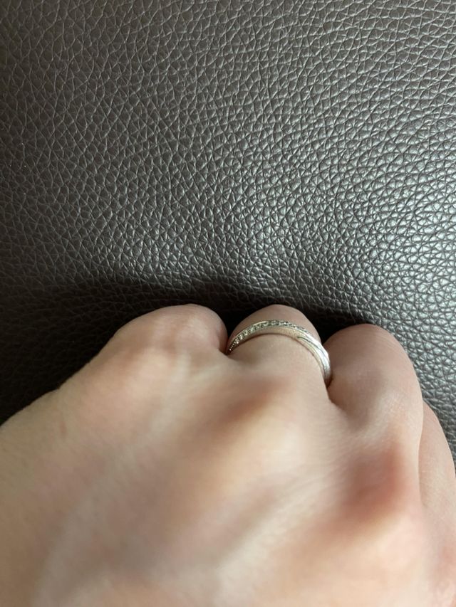 横から見た様子