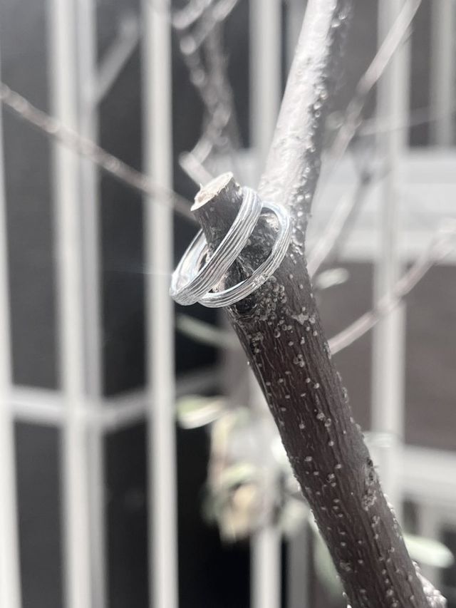 オリーブの木目リングなので家のオリーブの木と撮りました