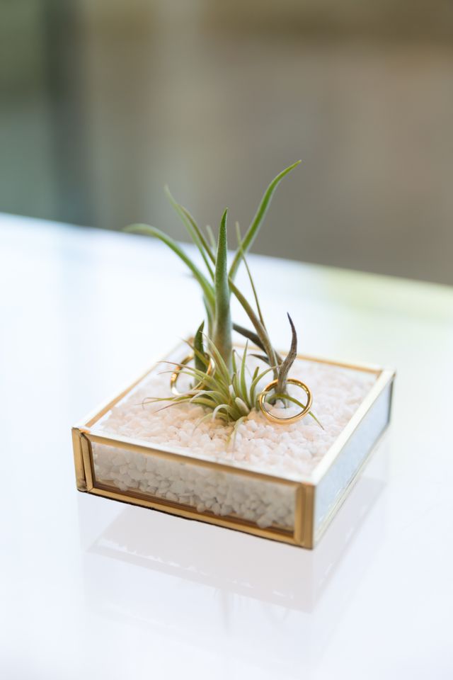 結婚式の際のリングピローに乗せたリングの写真です。