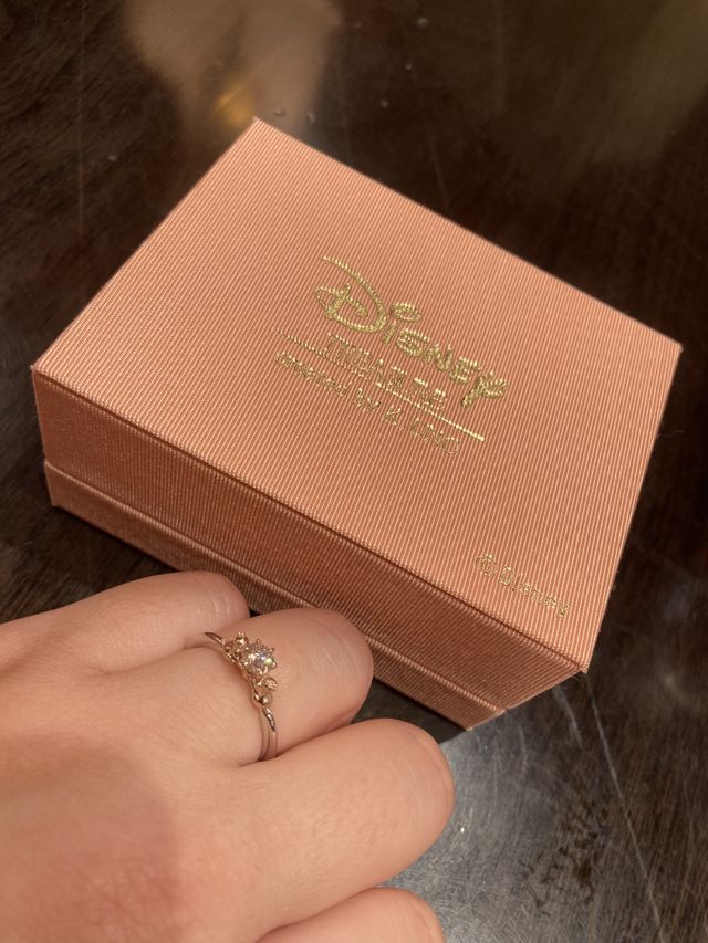 チップ＆デールが石を支えているデザイン