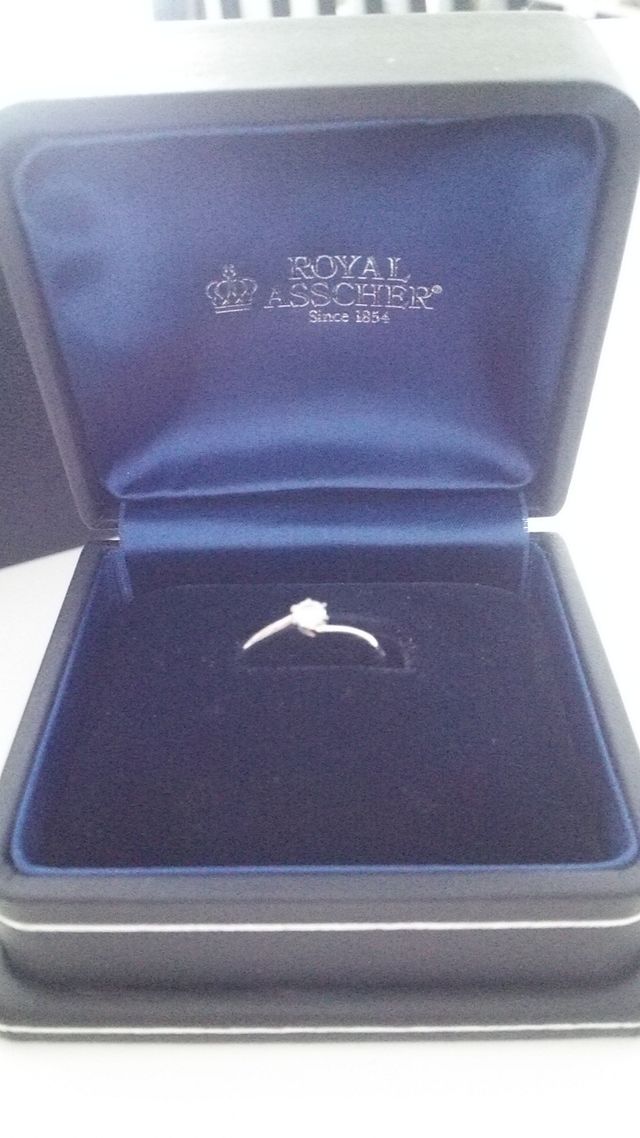 ケースに入った状態