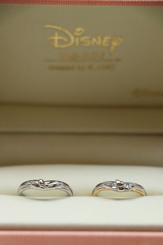 ドナルドダックのお尻（新婦）
ドナルドダックの帽子（新郎）