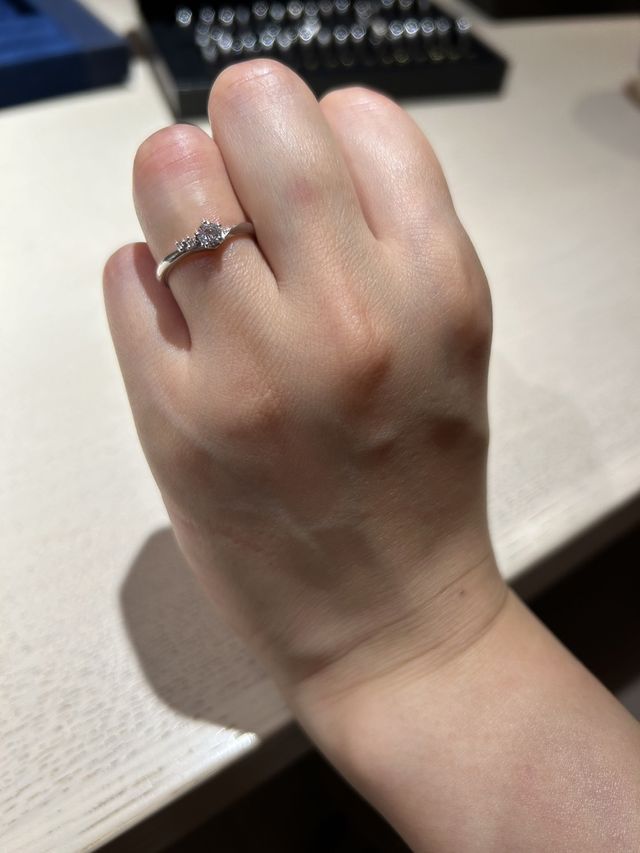 TOWAの爛漫です。