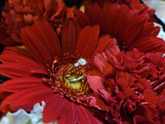 フラワーボックスの中に飾ってみました‼️