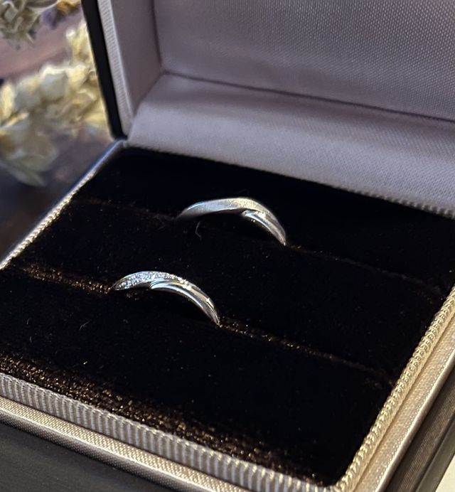 ノクターナルです。