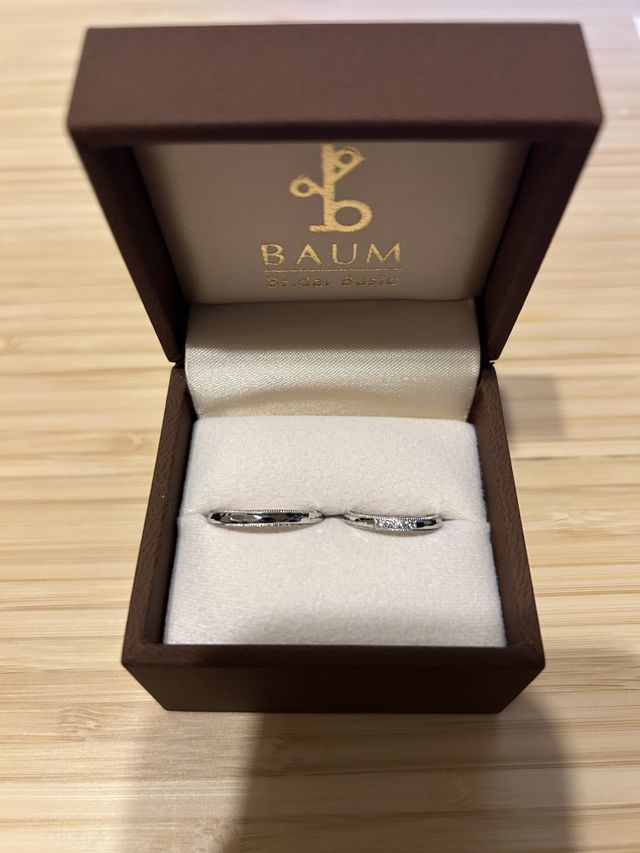 一緒に頂いたケースに入っている状態です