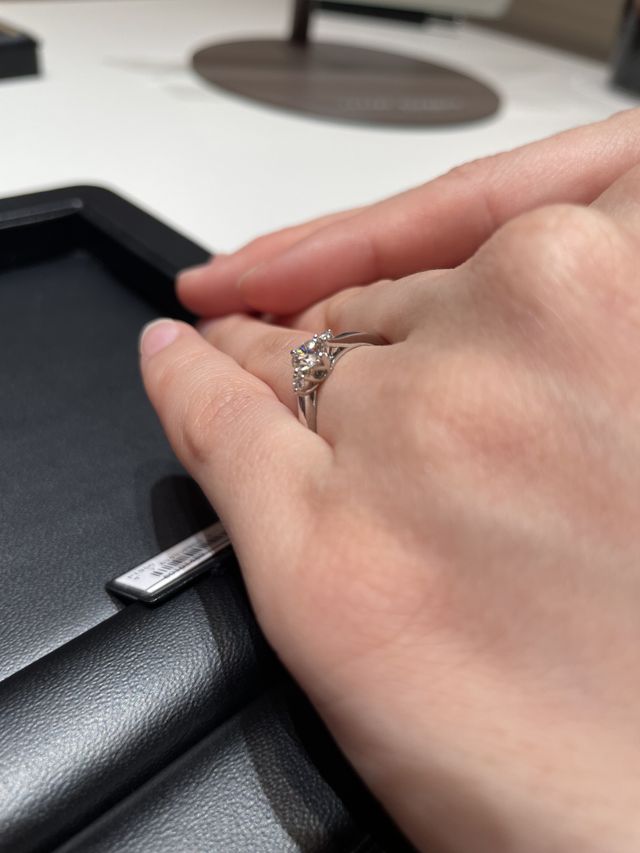 他検討していたリリー