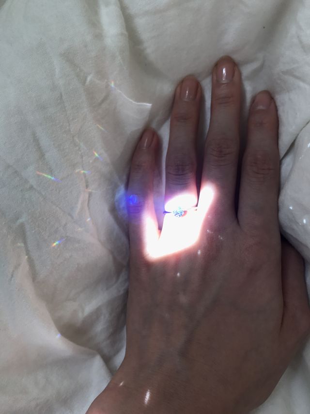 カーテンの隙間から入ってきた太陽光の下で撮影しました。