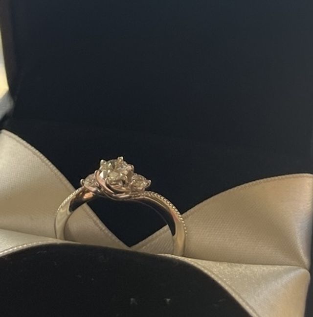 薔薇が咲いているかのような立体的なデザインです