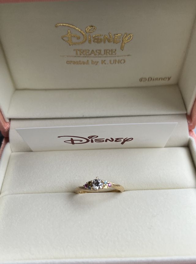 ラプンツェルモデル