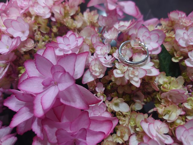 珍しいデザイン