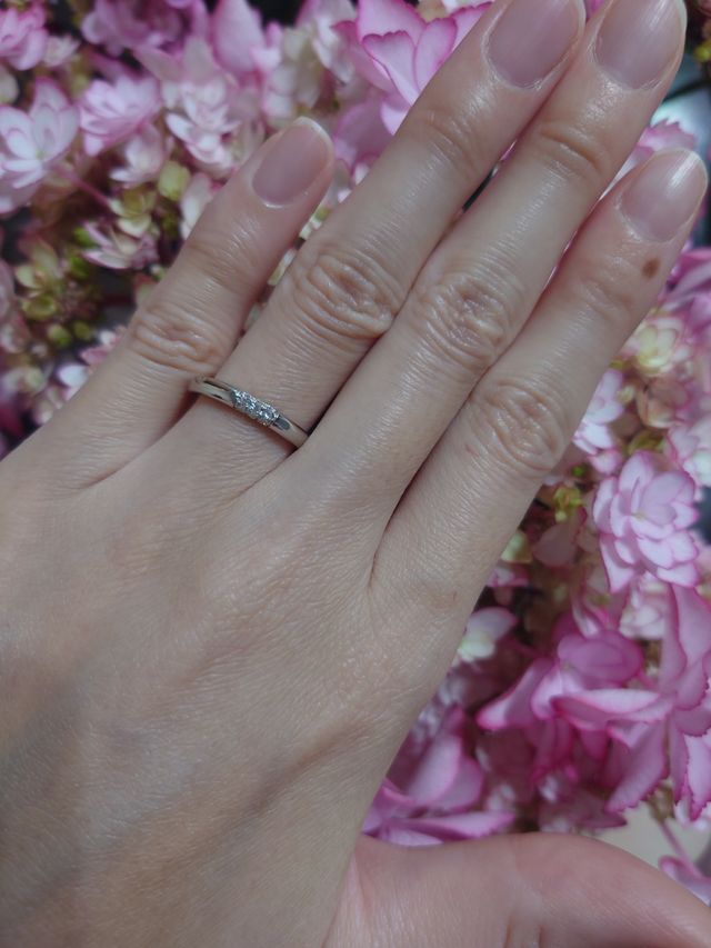 太めで存在感がある