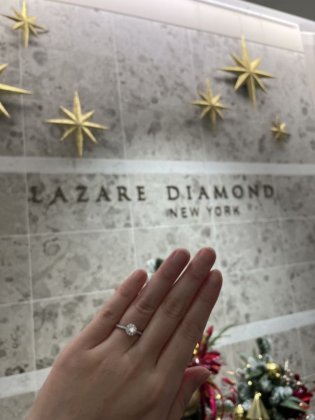 クリスマスモードのラザールダイヤモンドさんの背景とともに