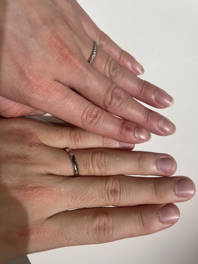 ベルヴェデーレのストレートのペアです。