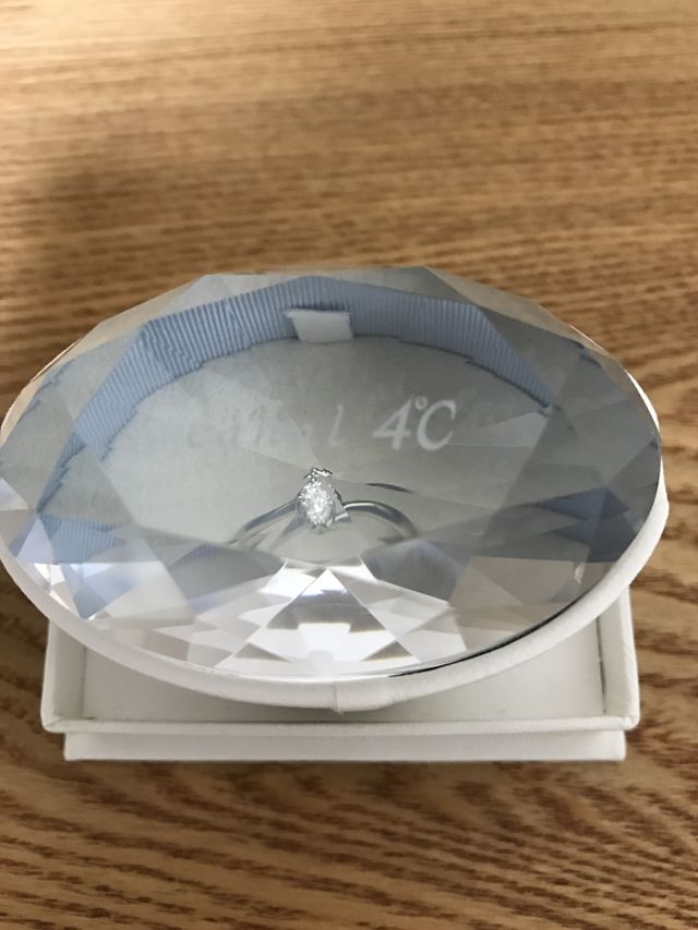 入れてもらえるケースも可愛らしいです。