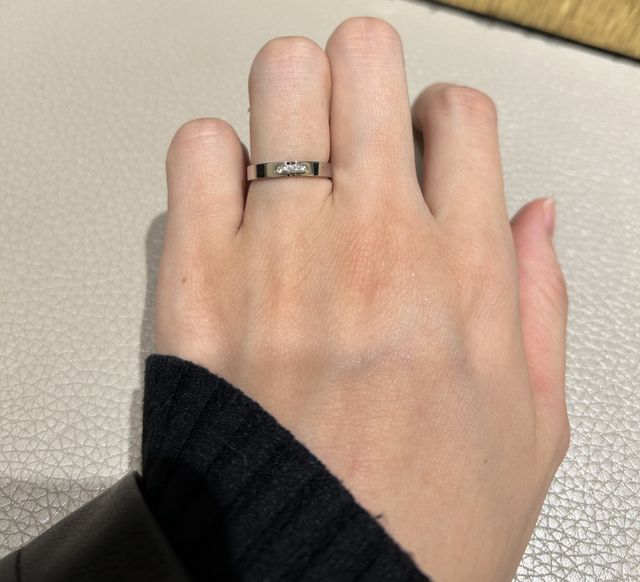 上から見た写真です