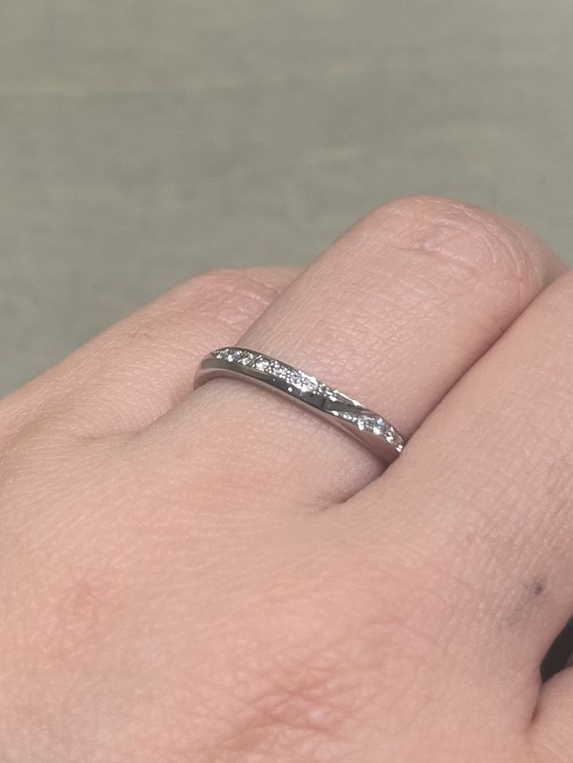 アルテミシア着用時