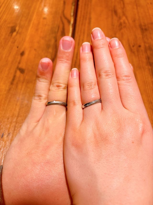 正面からの写真