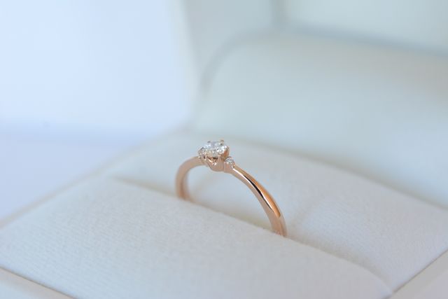 指輪全体が写っているもの