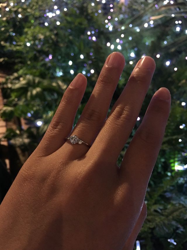 画像暗いですが、こんな感じです