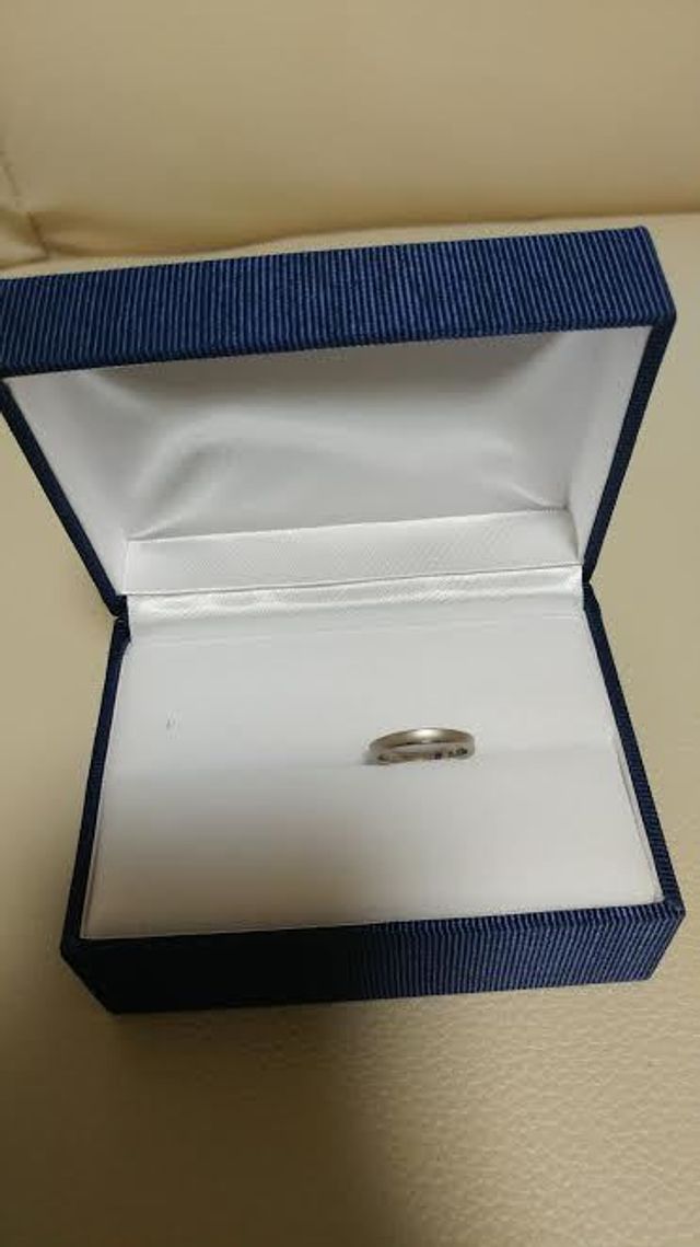 購入時にもらったケースに入れてとった写真です