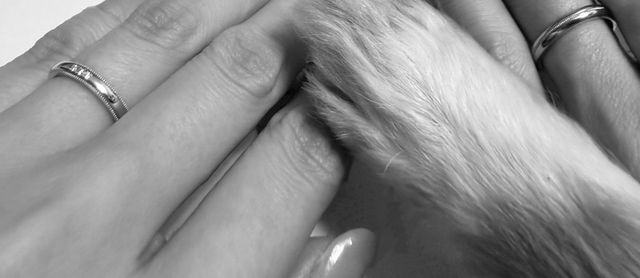 愛犬も一緒に作成時にいたので、着用写真も愛犬と一緒に。