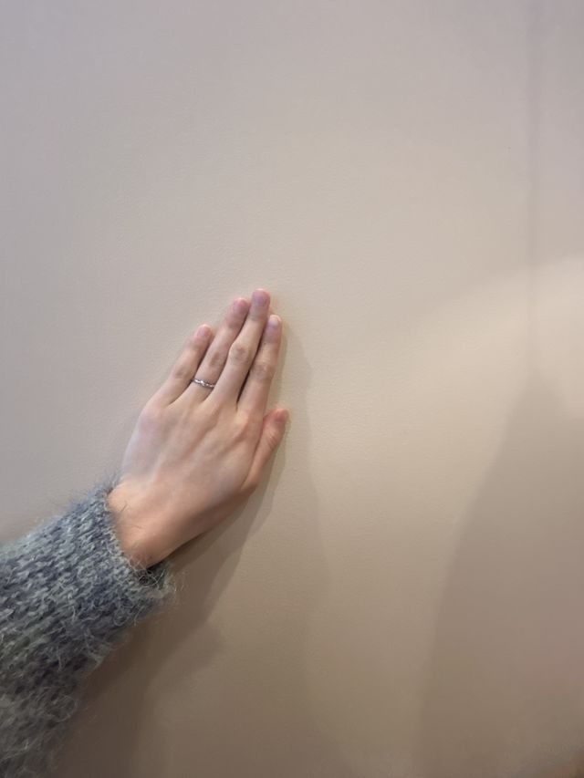 シンプルかつ、綺麗な指輪に出会えて良かったです♡