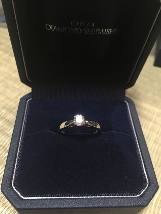 ディアナディー(太め)