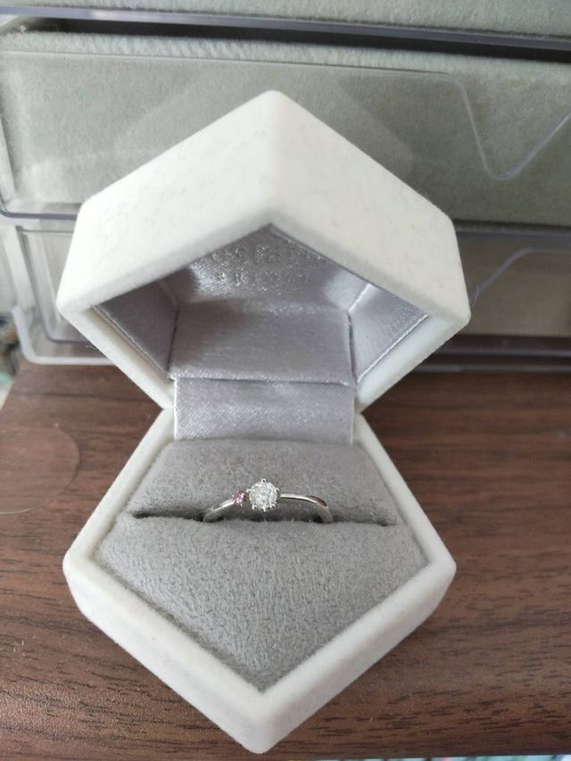 保管ケースにしまっている様子