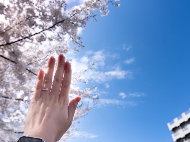 プロポーズして数週間後にお花見に行った際に撮った一枚です。