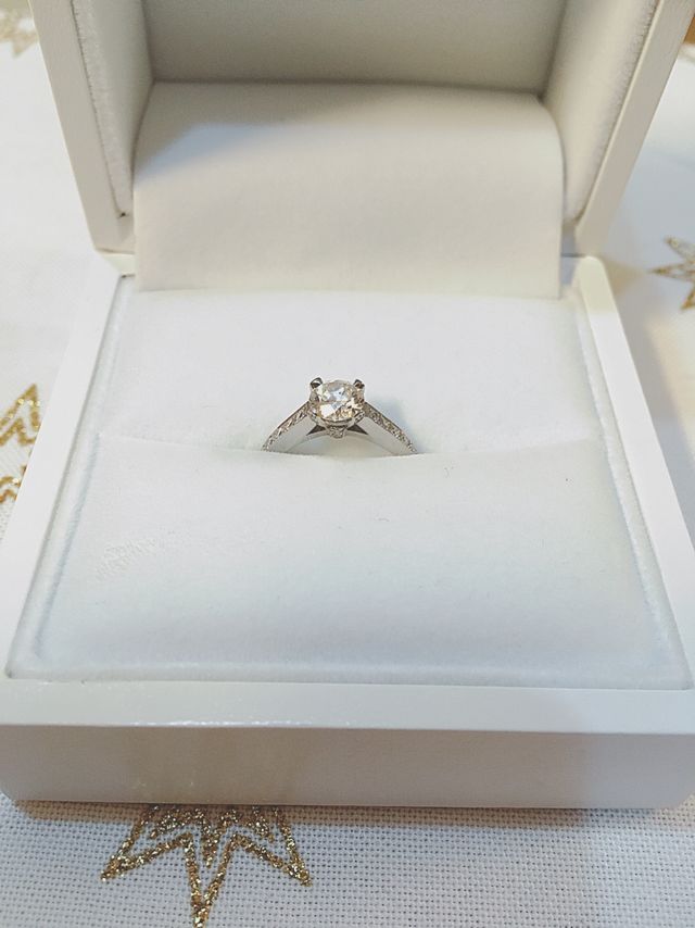 キラキラ輝きます