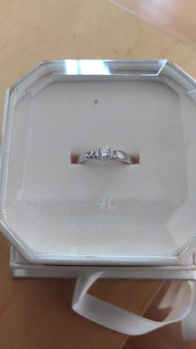 ４℃の爪立てではない日常使いできるものを選びました。