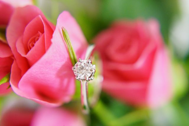 一眼レフで記念写真