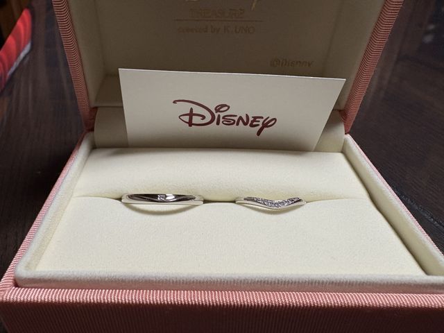 ディズニーデザイン(ミッキー＆ミニー)