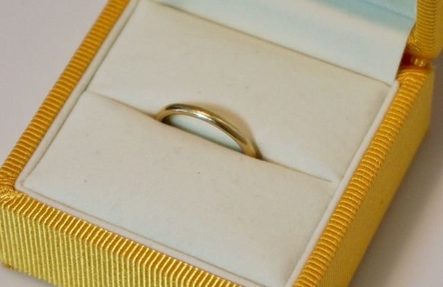 ケースに入っている様子