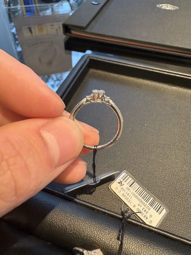 ご紹介いただいたエリザベートの写真です。