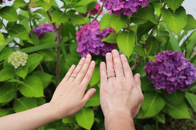 梅雨の時期にあった紫陽花と共に撮りました！